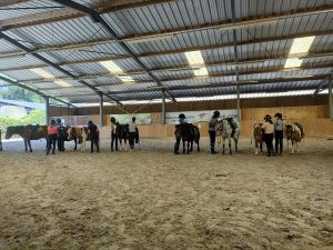option équitation collège