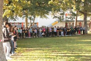 cross solidaire