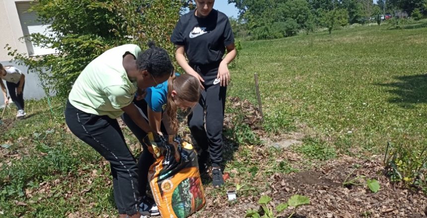 01-06-2026_E3D6e_JardinSALS-4-Petit