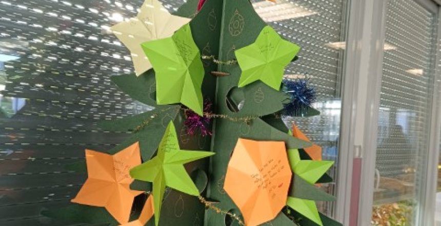 1736776017591 (Petit)