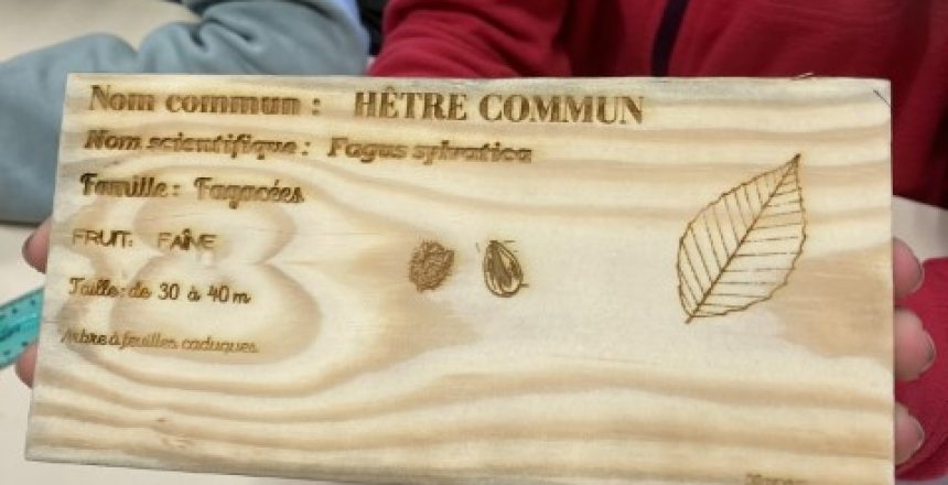 20231219_144526571_iOS (Petit)