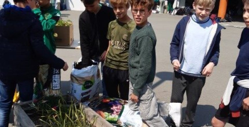 20250509_123356 (Petit)