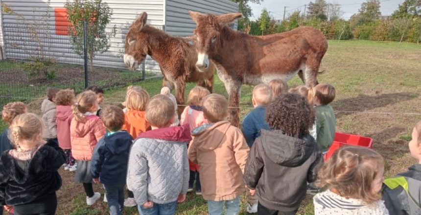 IMG20231019102509 (Petit)