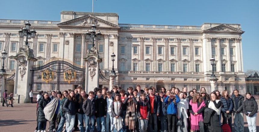 IMG20250403094000 (Petit)