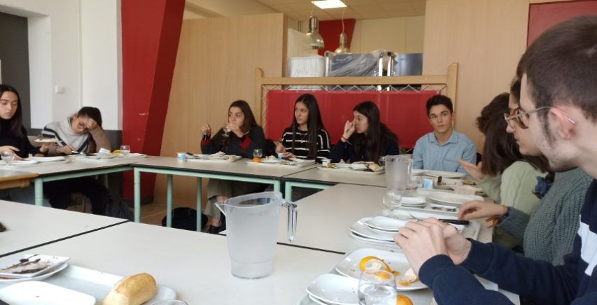 IMG_20221206_130428 (Petit)