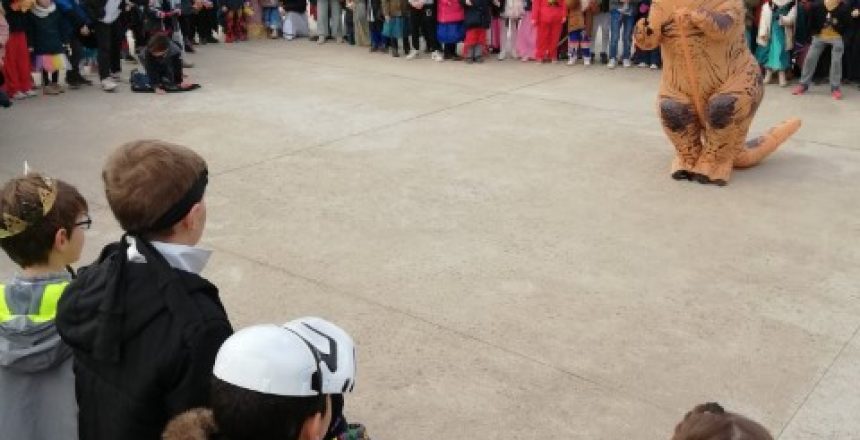 IMG_20230210_104231-Petit