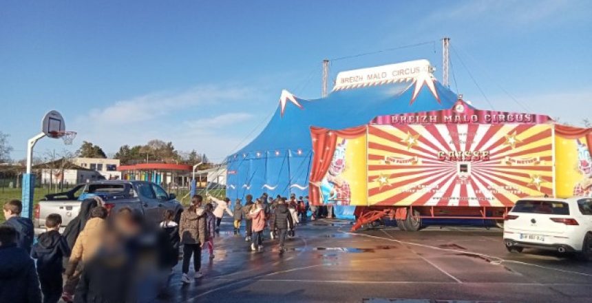 IMG_20250127_211259 (Petit)