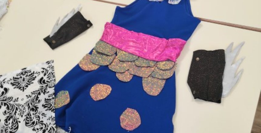 IMG_20250430_161231 (Petit)