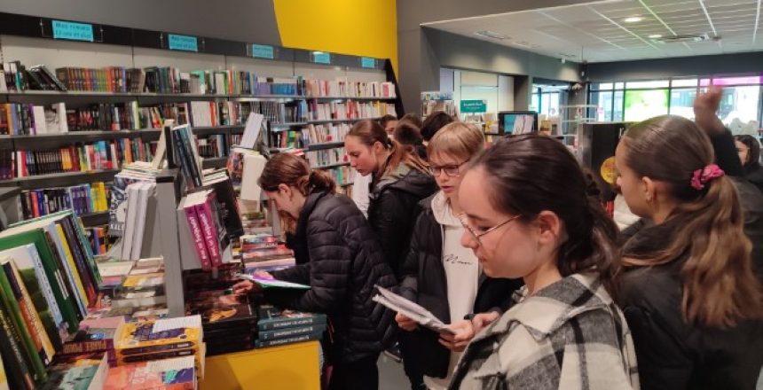 photo sadel 4 (Petit)