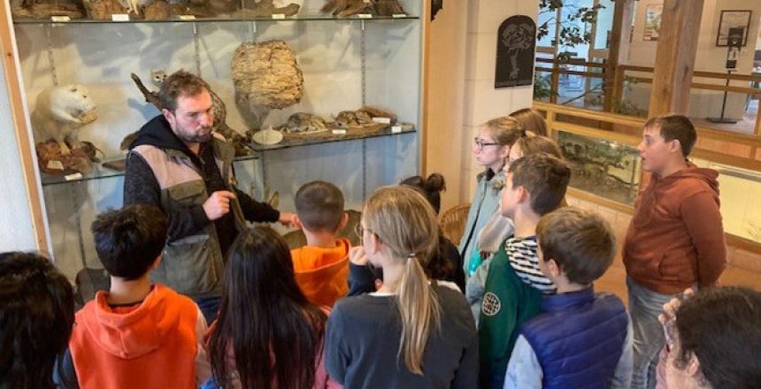 thumbnail_IMG_3464-1